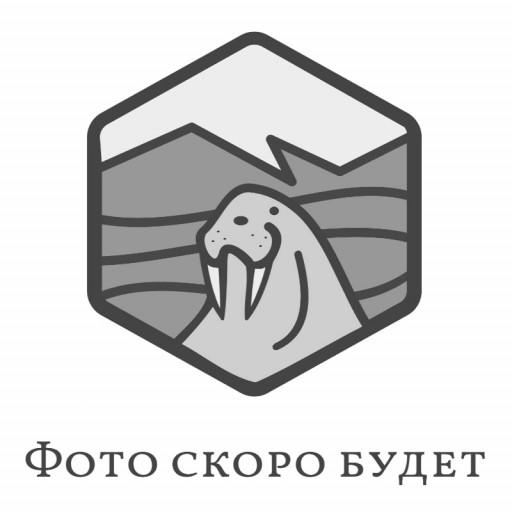 Открытый компрессор Bitzer OSN 7451-K