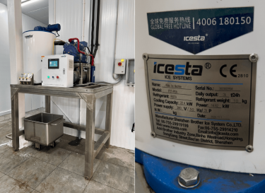 Льдогенератор чешуйчатый ICESTA IF1T-R4A (1000 кг)